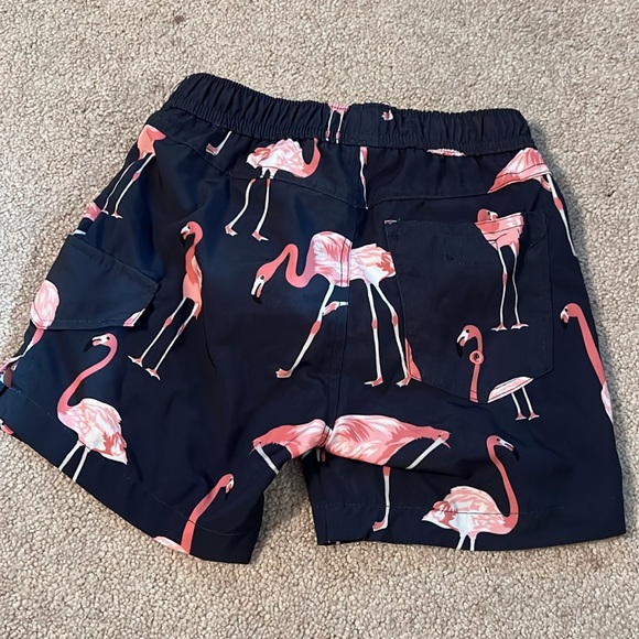 Boys Swim Trunks /Size 4/5 - Picture 5 of 7